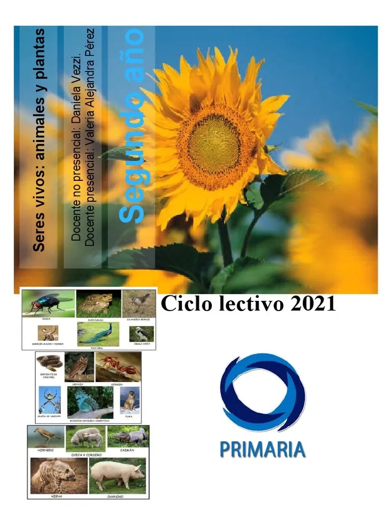 Seres Vivos Plantas Y Animales | PDF | Plantas | Plan De Estudios