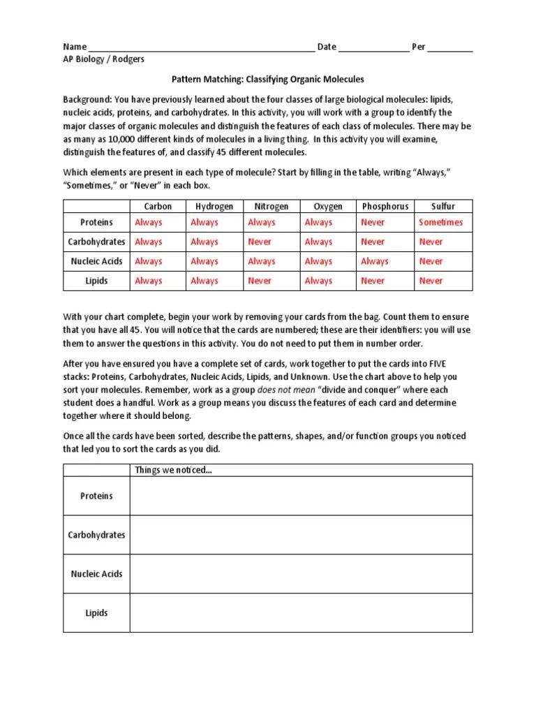 Pattern Matching - ANSWER KEY | PDF | Nucleotides | Carbohydrates