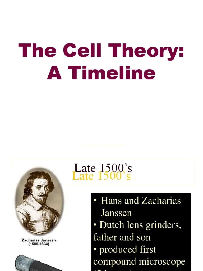 Cell Theory And Cell Structure | PDF | Cell (Biology) | Cell Nucleus