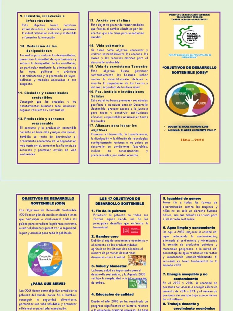Las 17 Ods De La Onu | PDF | Desarrollo Sostenible | Sustentabilidad