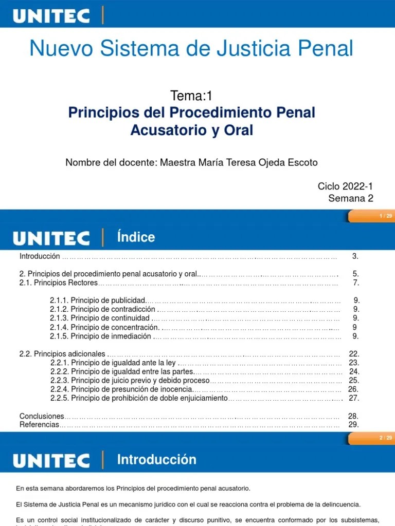 Principios Del Procedimiento Penal Acusatorio | PDF | Derecho Penal ...