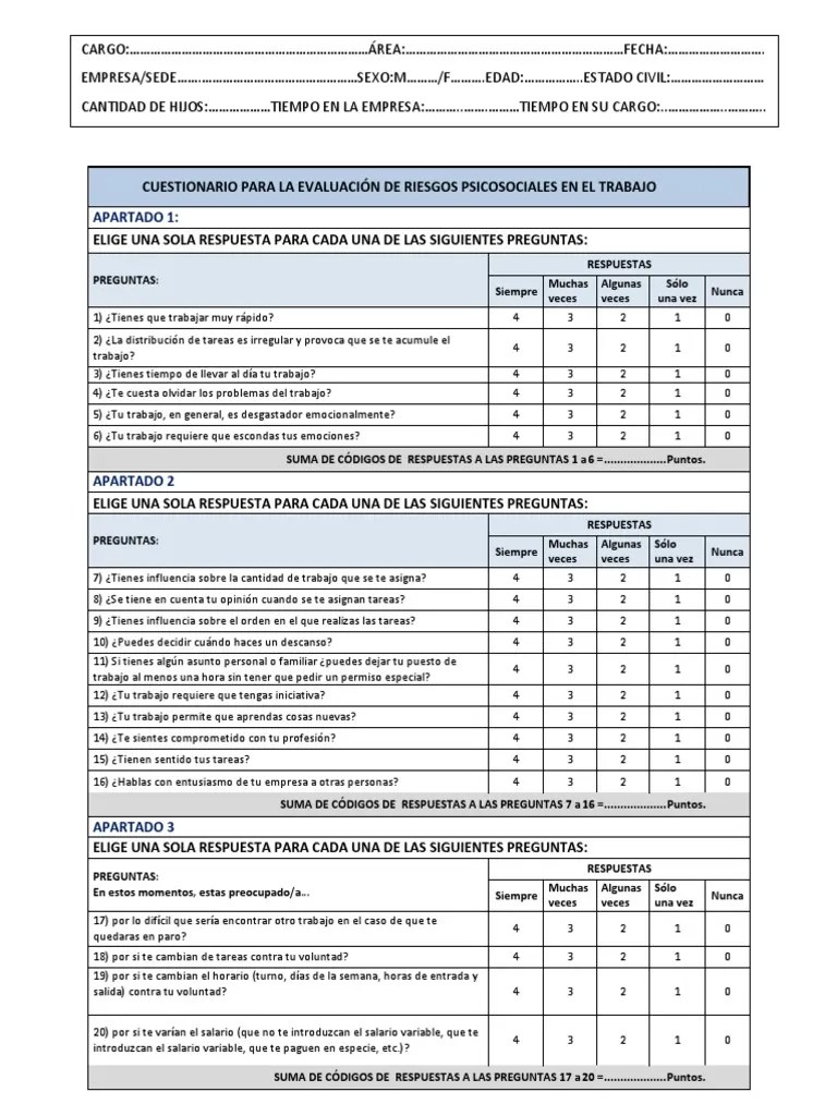 Formato Evaluación De Riesgos Psicosociales | PDF