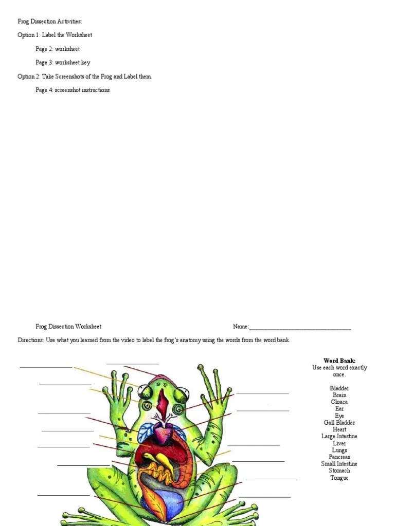 Frog dissection lab vocabulary worksheet (included). Frog Dissection Worksheet Pdf Screenshot Frog