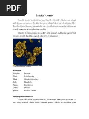 Brucella Abortus | PDF