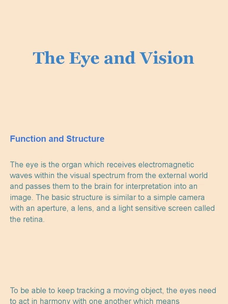 The Eye And Vision | PDF | Eye | Visual Perception