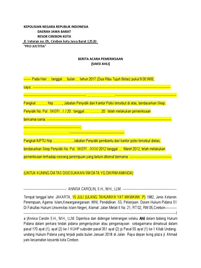 Bap Saksi Ahli Bidang Hukum Pidana Revisi | PDF