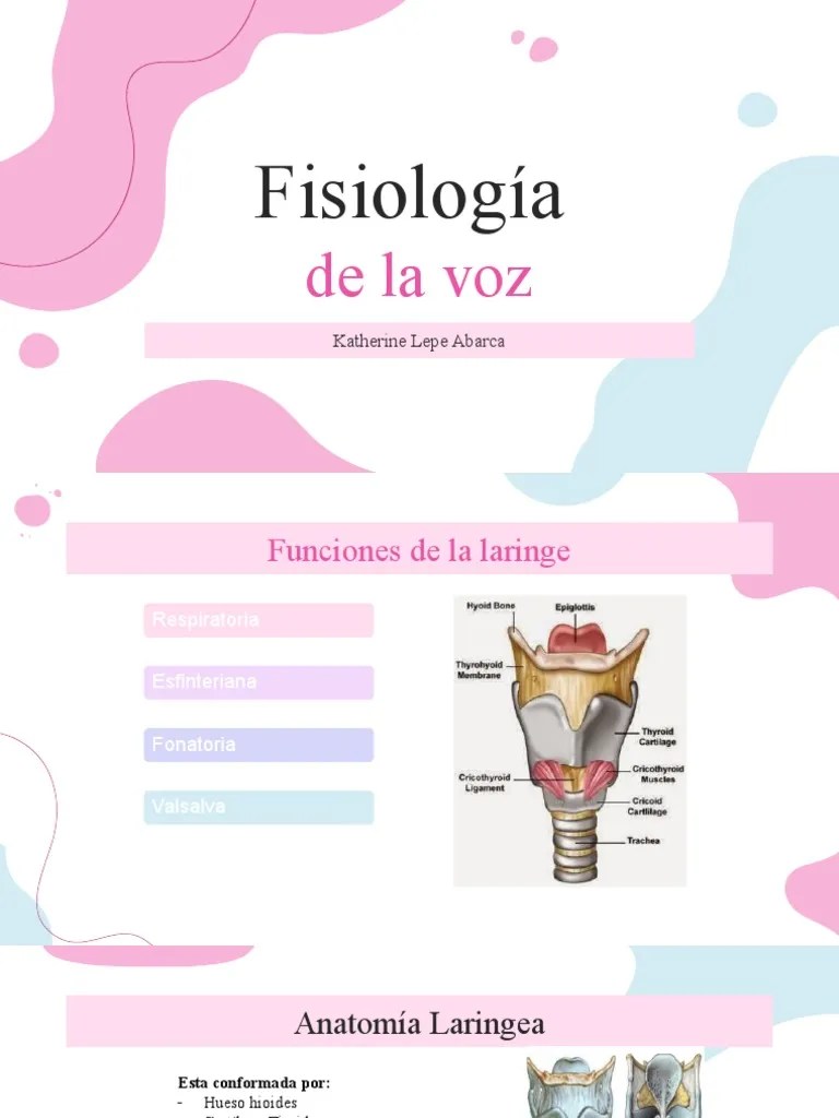 Fisiologia De La Voz | PDF | Laringe | Anatomía
