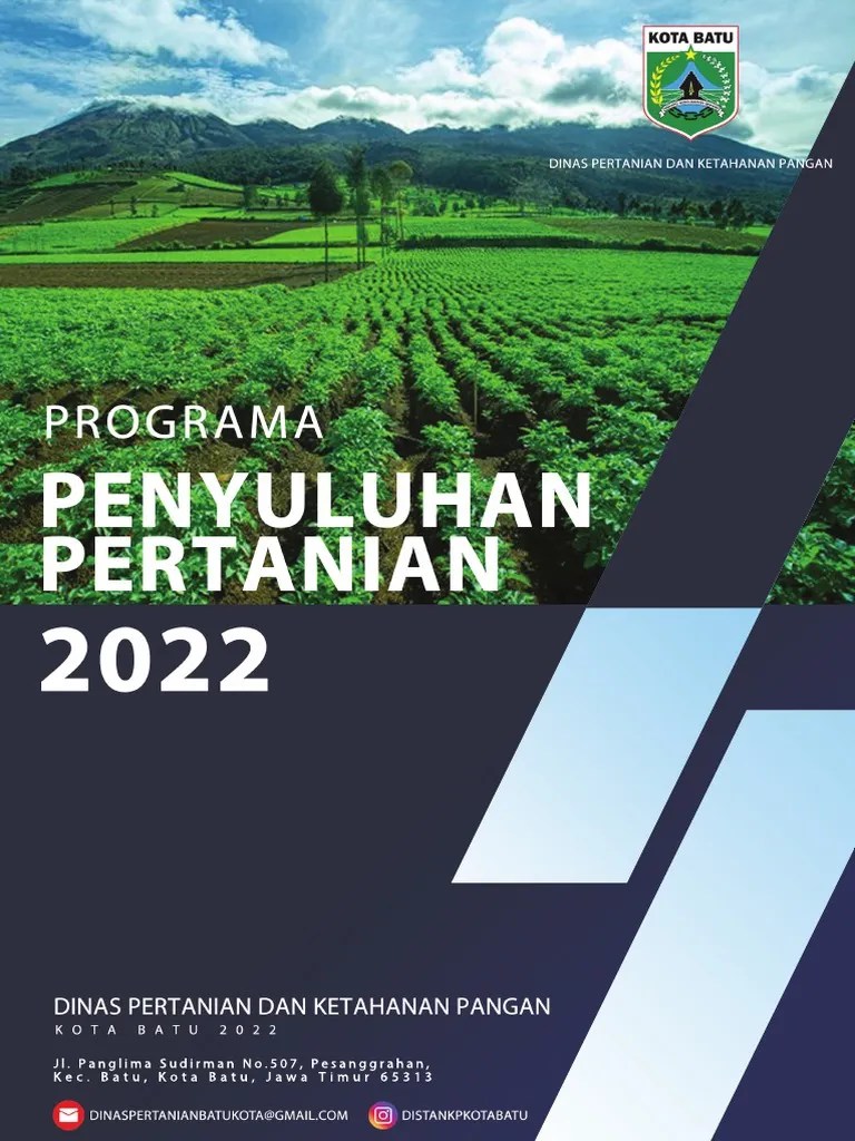 Programa 2022 | PDF