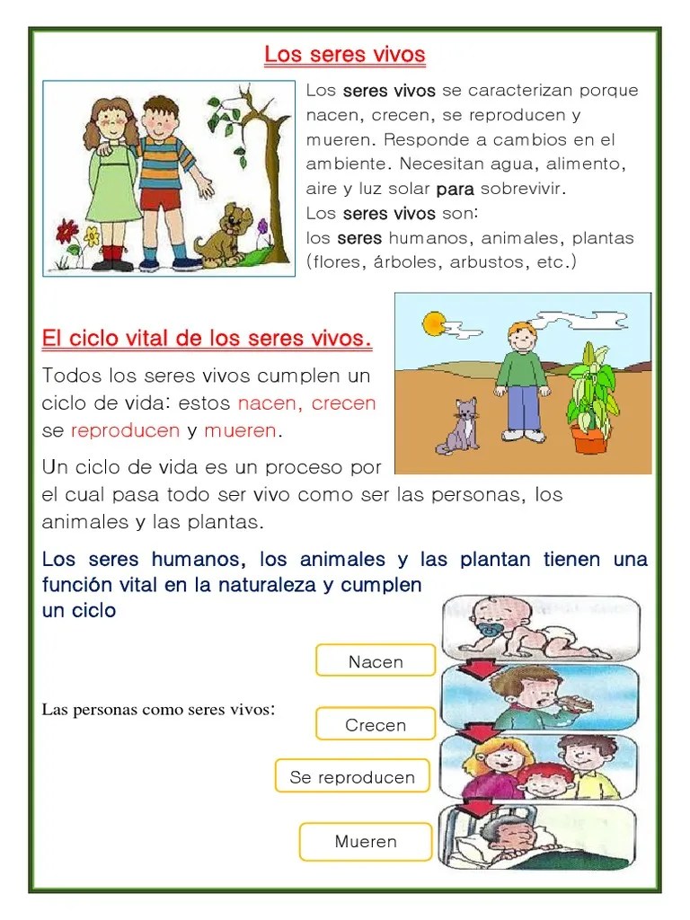 Tema 1 Los Seres Vivos | PDF