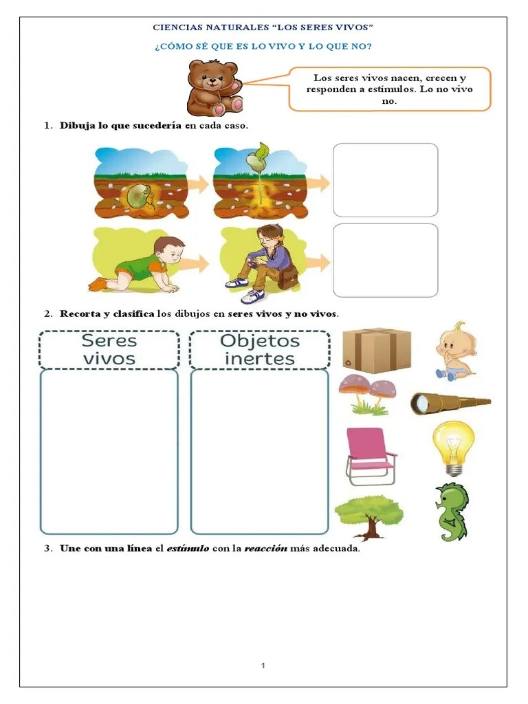 Guia De Aprendizaje, Ciencias 1 (12 Al 23 De Abril) Los Seres Vivos. | Descargar Gratis PDF ...