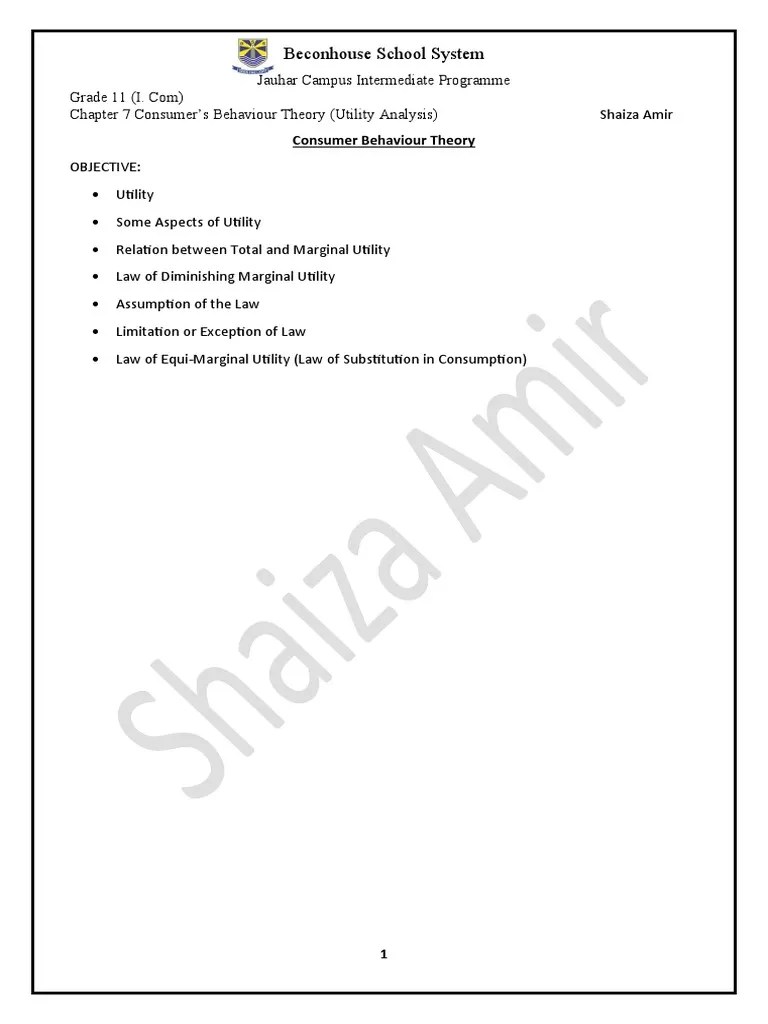 Consumer Behaviour Theory | PDF | Utility | Marginal Utility