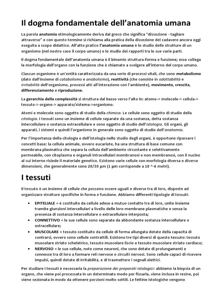 Anatomia Umana Completa | PDF