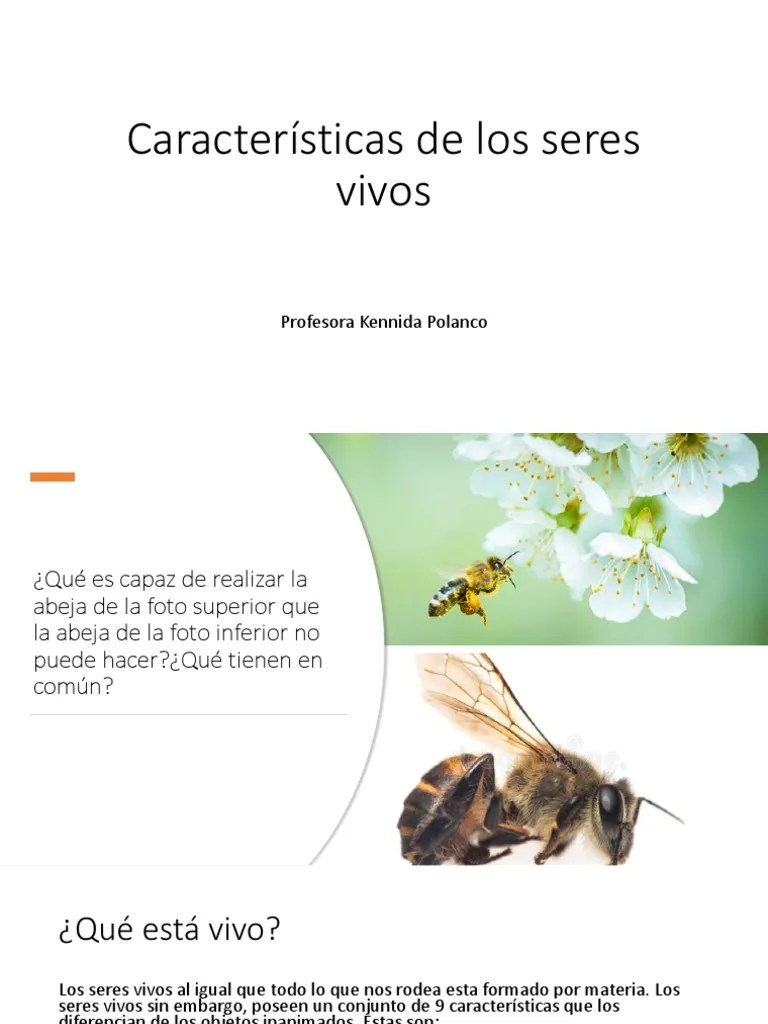 Características De Los Seres Vivos | PDF | Organismos | Biología Celular)