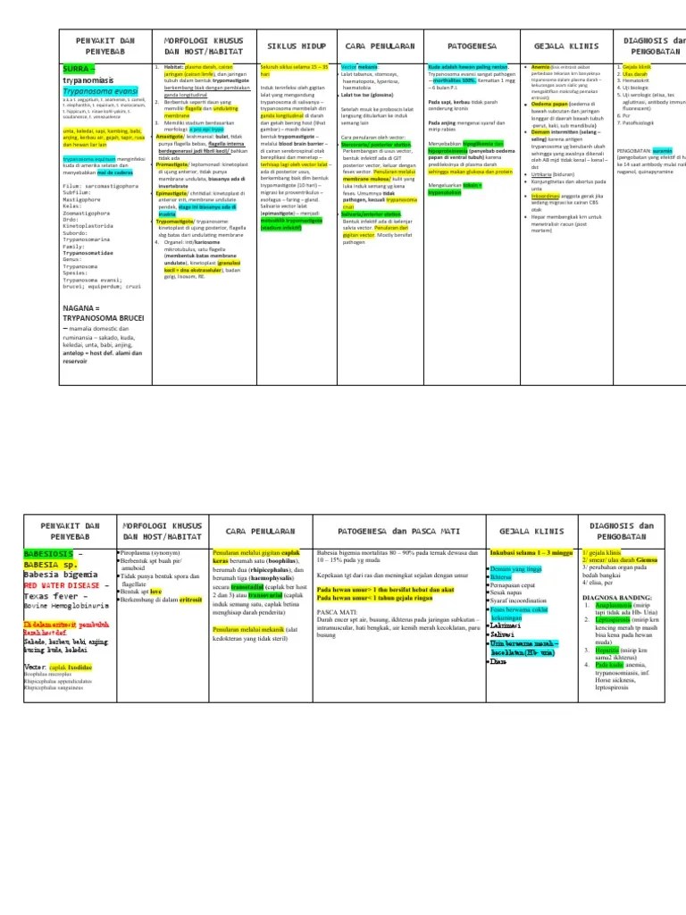 Jurnal Penyakit Parasit Protozoa Darah Mamalia Oleh Irma Safitri FKH UNAIR  | PDF