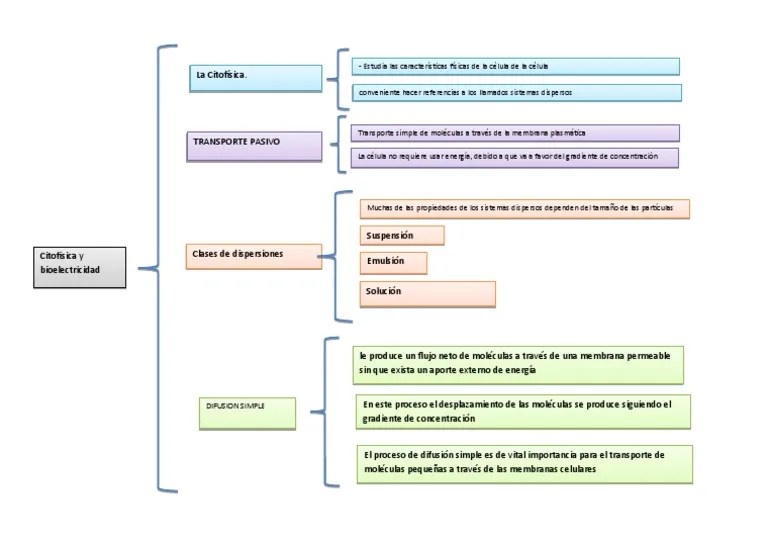 Citofisica Y Bioelectricidad (Parte 1) ESQUEMA | PDF