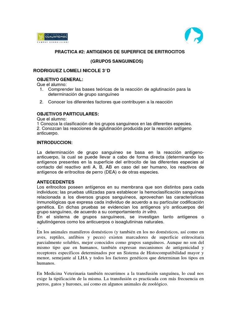 Práctica De Grupos Sanguíneos | PDF | Tipo De Sangre | Antígeno