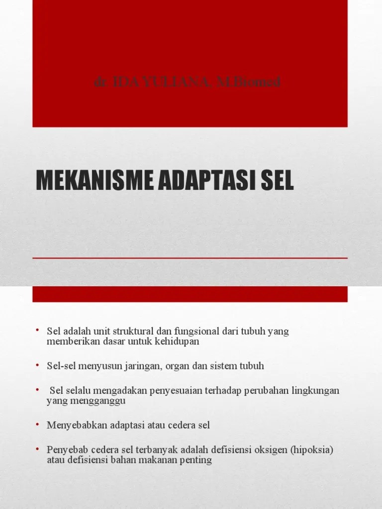 Mekanisme Adaptasi Sel | PDF