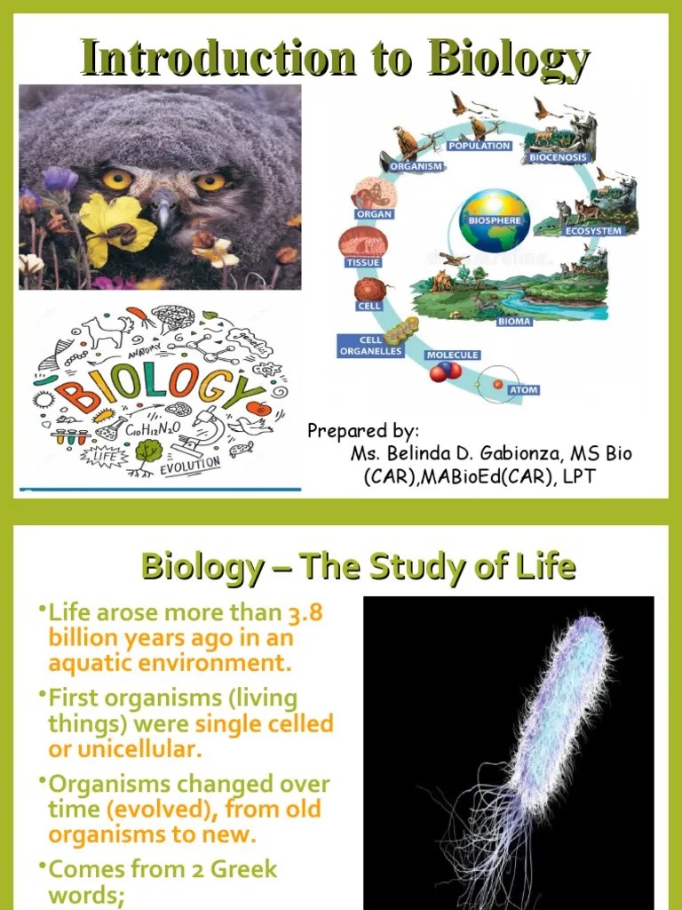 Chapter1 Biology | PDF | Biology | Experiment