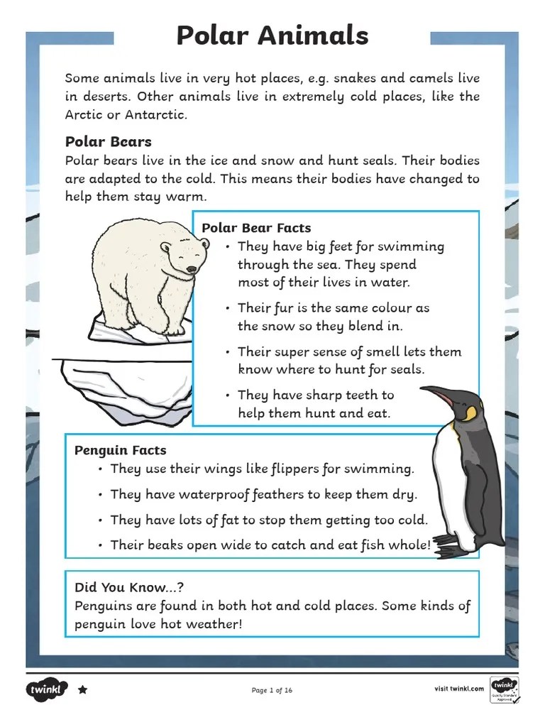 Winter Animals Differentiated Reading Comprehension Activity Arabic ...
