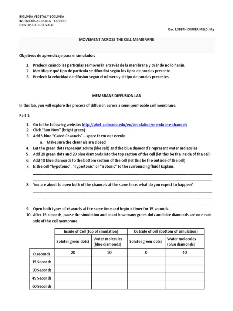 Virtual Diffusion Lab | PDF | Chemistry | Physical Sciences