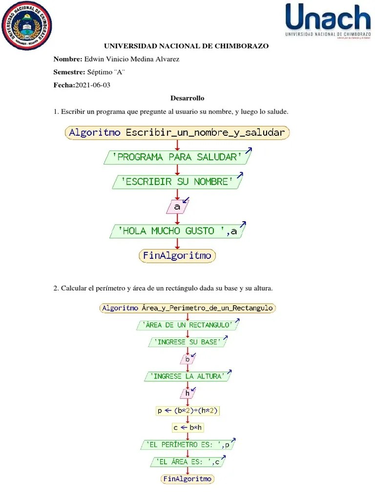 Algoritmos - Tarea N°1 - 2021-06-03 | PDF