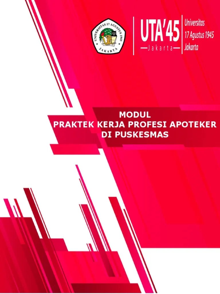 Modul PKPA Di Puskesmas | PDF
