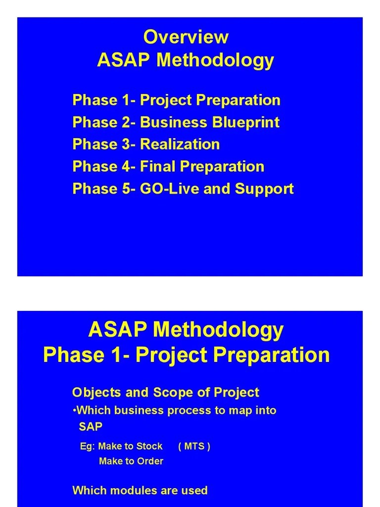 ASAP Methodology | PDF | Databases | Business Process