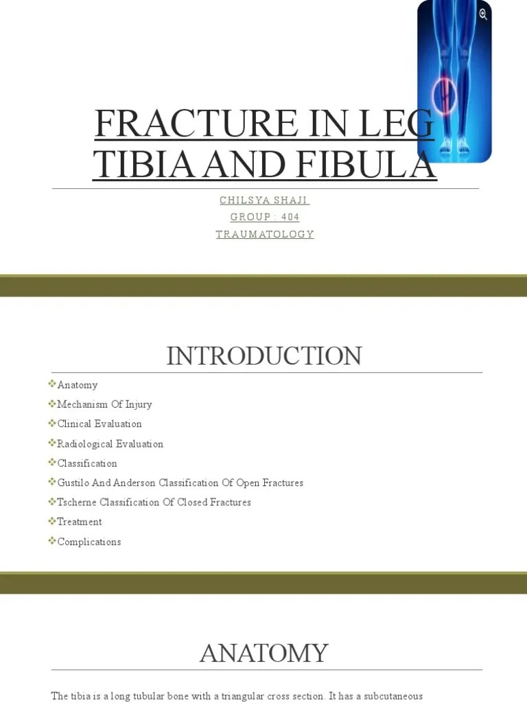 Tibial Fracture Download Free Pdf Ankle Human Leg - Minimal Wallpaper Collection - HD Quality