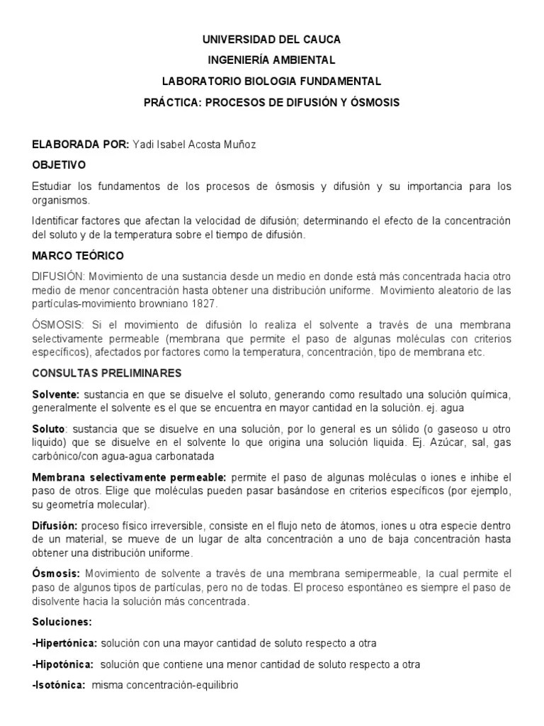 Informe, Ósmosis Y Difusión | PDF | Ósmosis | Ciencias Fisicas