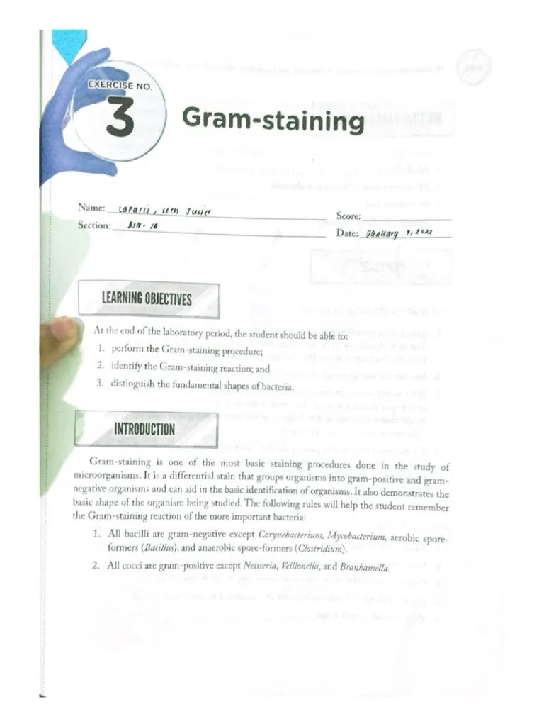 Exercise 3: Gram Staining | PDF