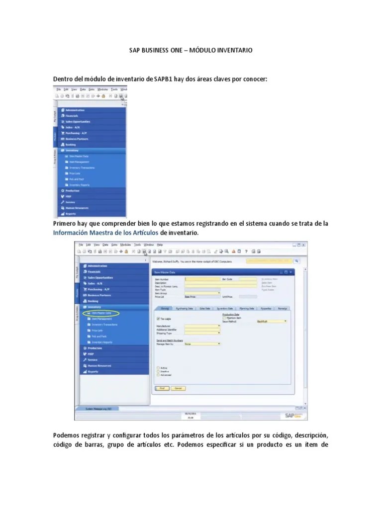 Sap Business One - Inventario | PDF | Inventario | Informática