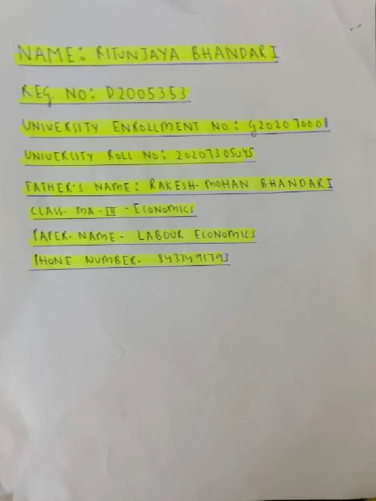 Labour Economics | PDF