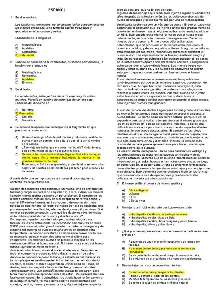 Banco De Preguntas Español Respuestas | PDF | Hueso