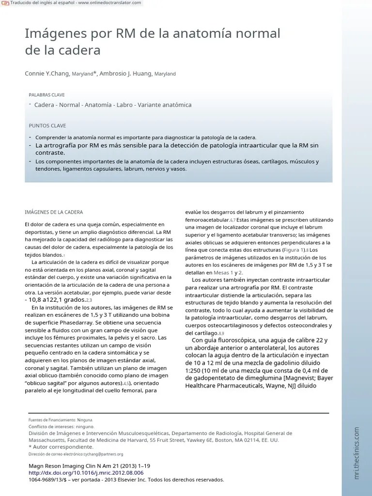 Cadera En Es | PDF | Rodilla | Sistema Musculoesquelético