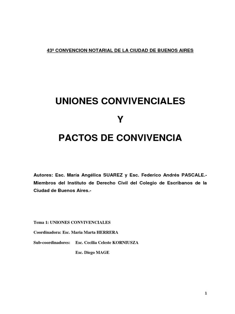 Régimen Legal Convivencial Convivientes | PDF | Unión Civil | Matrimonio