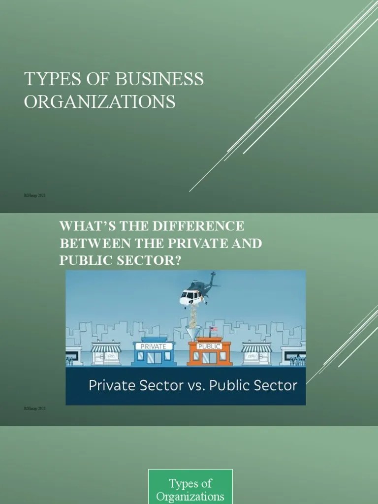 Types Of Business Organizations | PDF | Sole Proprietorship | Multinational Corporation