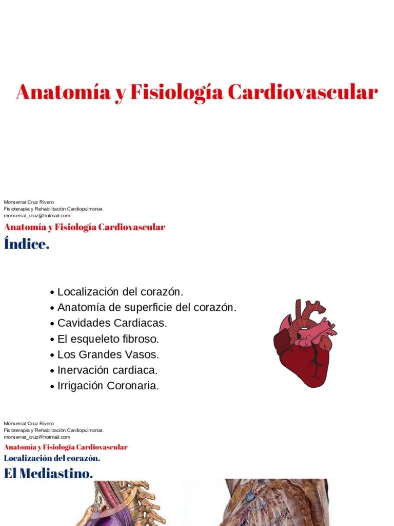 Anatomía Y Fisiología Cardiovascular | PDF | Corazón | Sistema Circulatorio