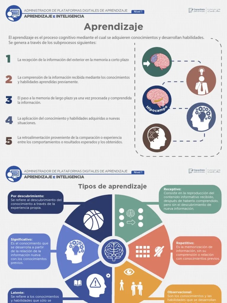 PDA Aprendizaje E Inteligencia | PDF | Aprendizaje | Inteligencia