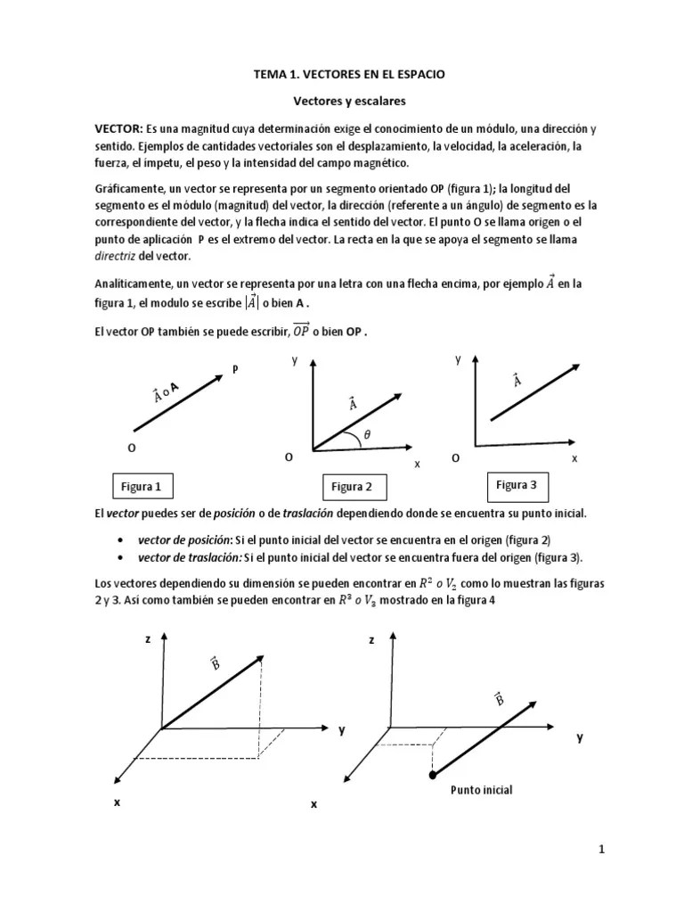TEMA 1 APUNTES VECTORIAL Parte 1 | PDF | Vector Euclidiano | Escalar (Matemáticas)