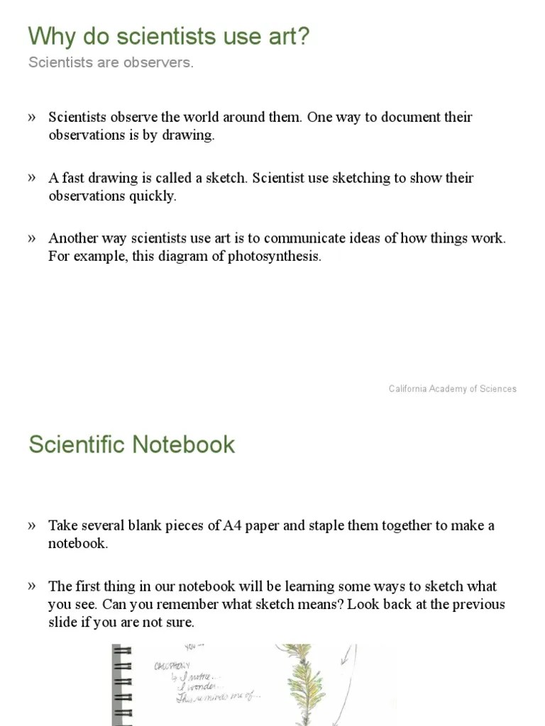 Scientific Sketching Practice | PDF