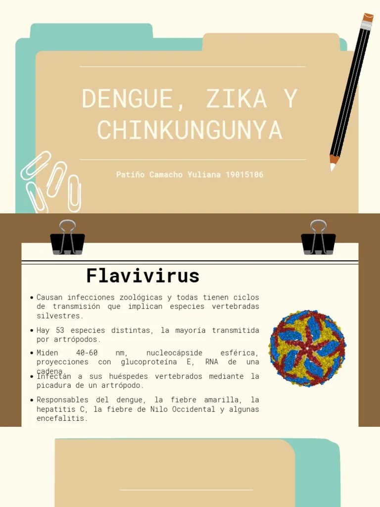 Dengue, Zika | PDF | Virus | Fiebre Del Zika