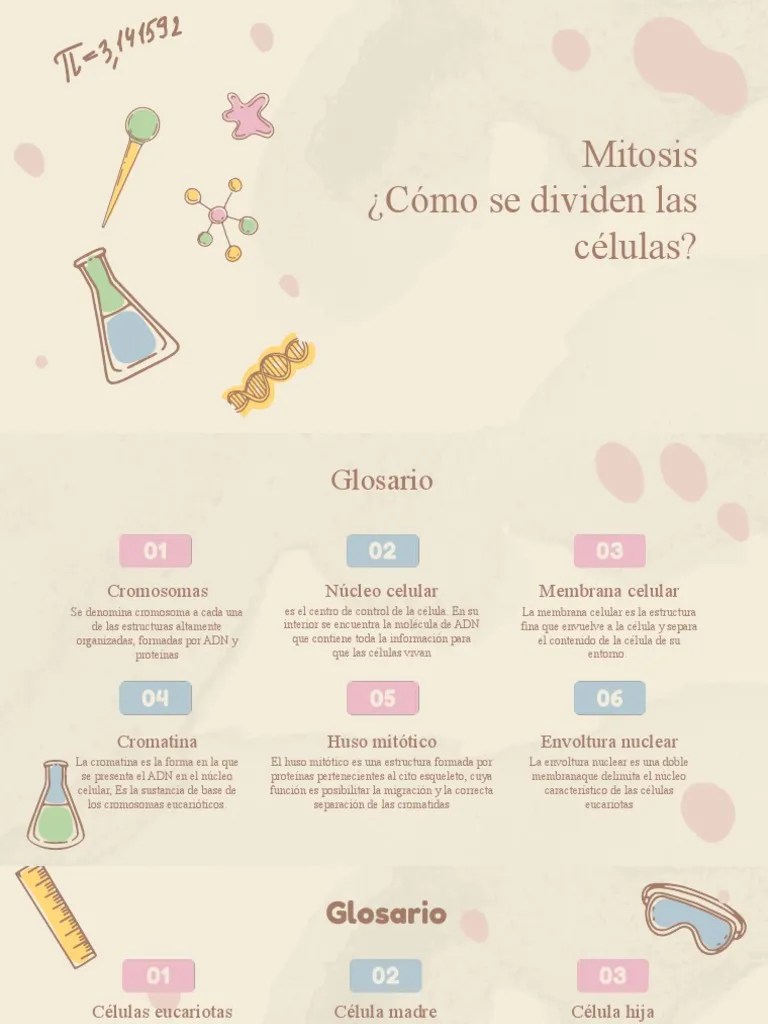 Mitosis | PDF | Mitosis | Biología Celular)