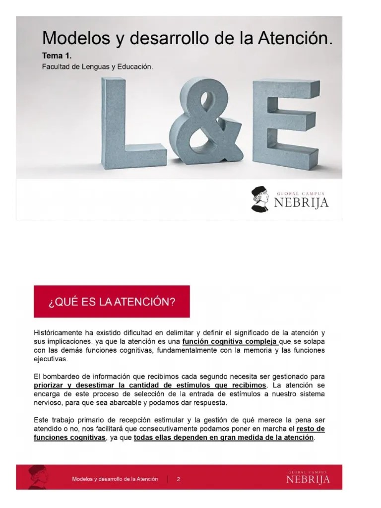 Diferencias Individuales Y Aprendizaje I Atención Y Memoria | PDF