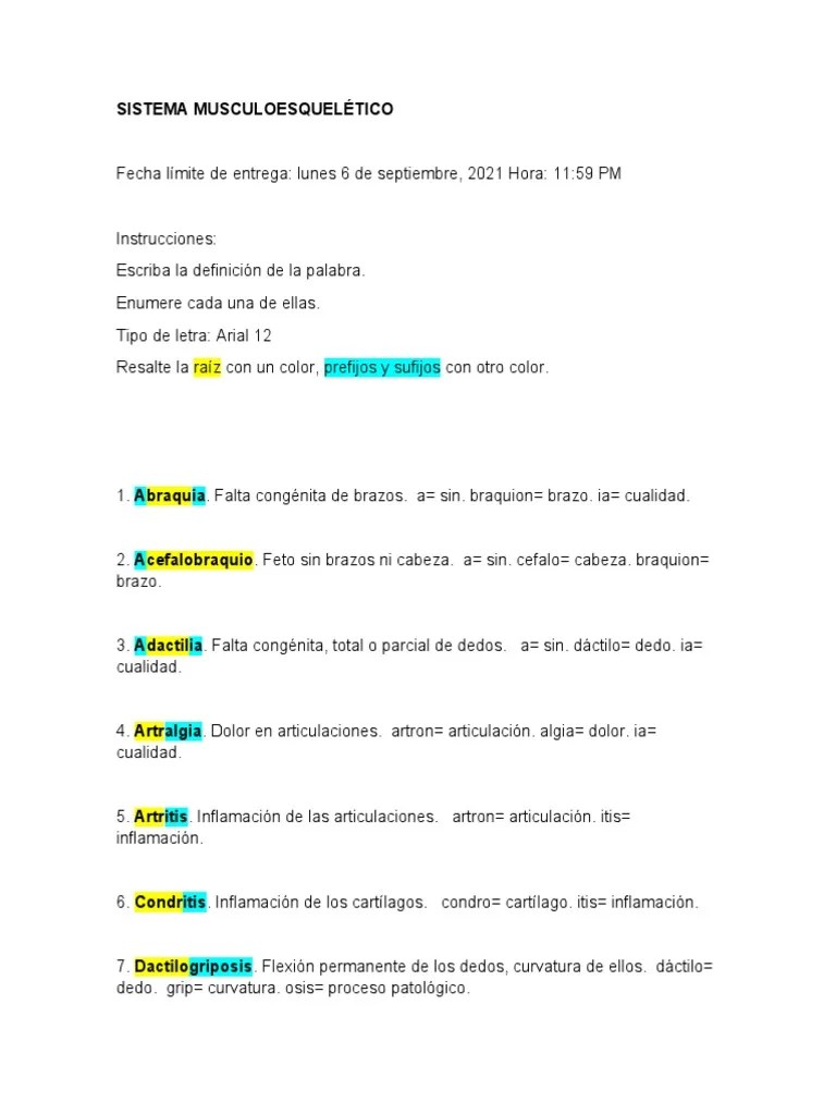 Sistema Musculoesquelético | PDF | Articulación | Sistema Esquelético