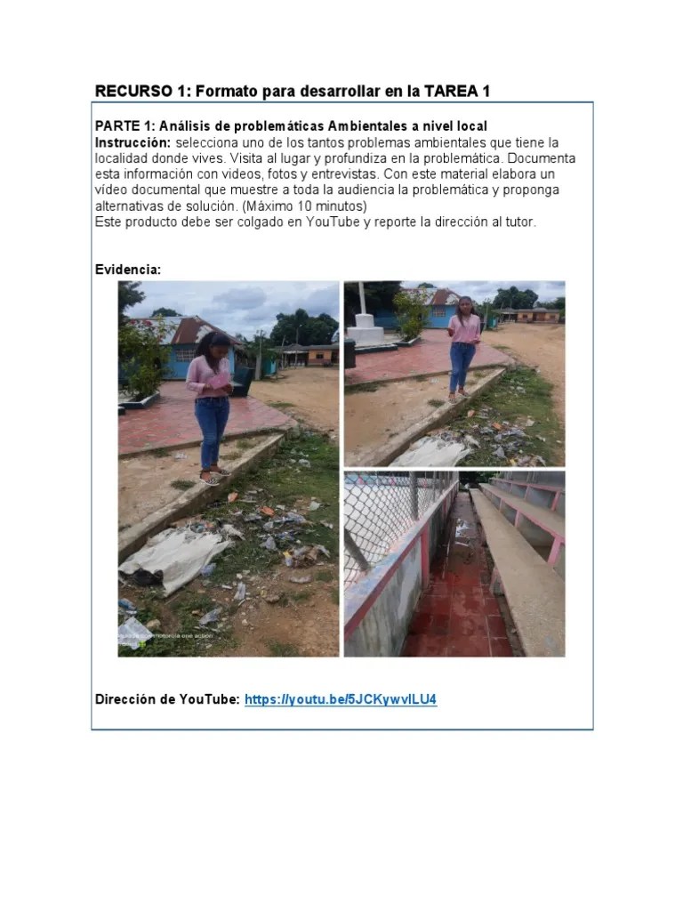 La Escuela Y La Educación Ambiental I. | PDF