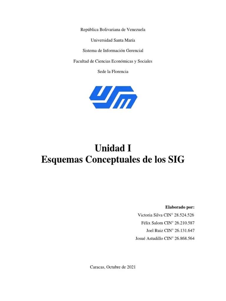 Sistema De Información Gerencial | PDF | Marketing | Servidor (Computación)