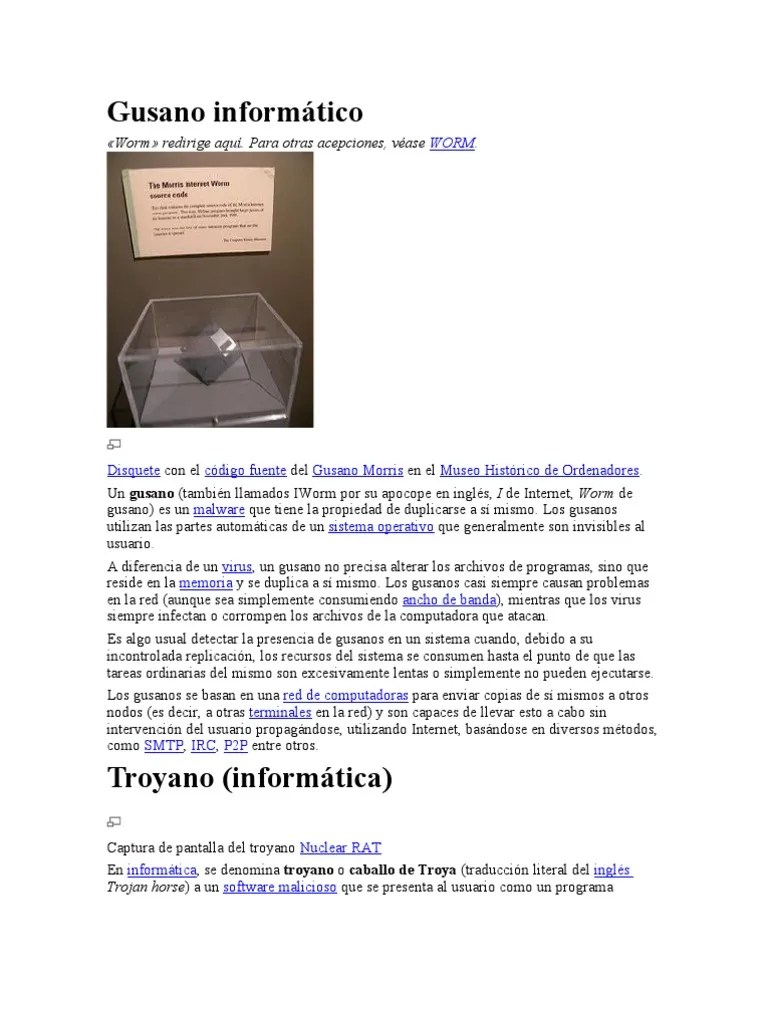 Gusano Informático | PDF | Virus De Computadora | Malware