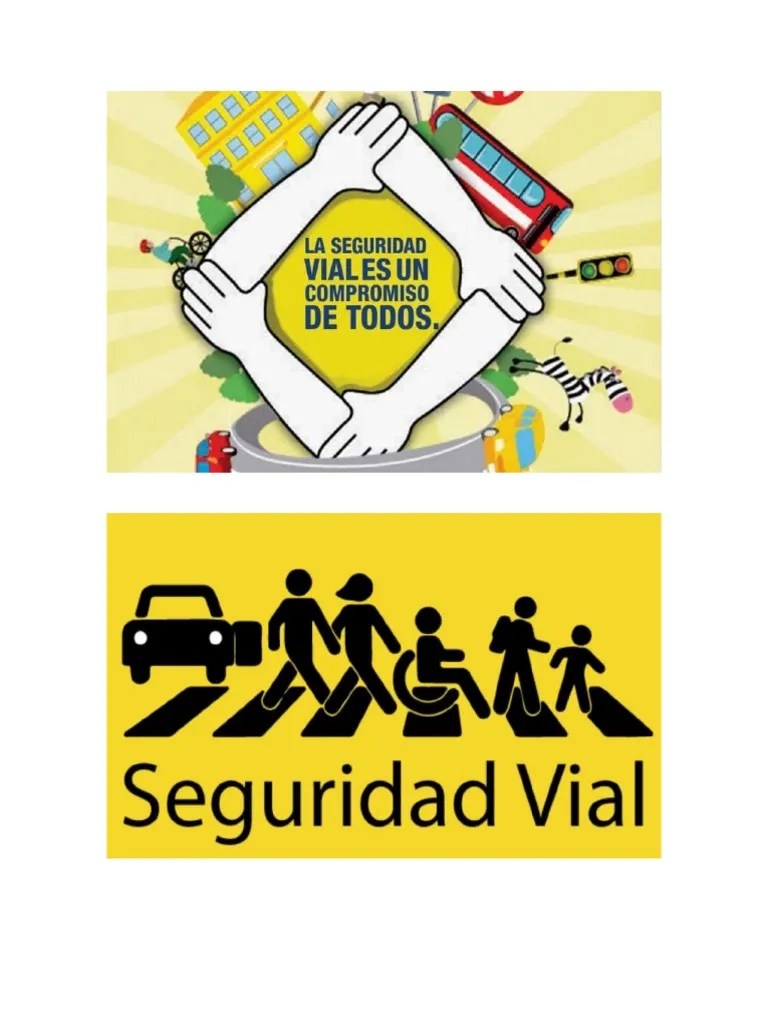 Seguridad Vial | PDF
