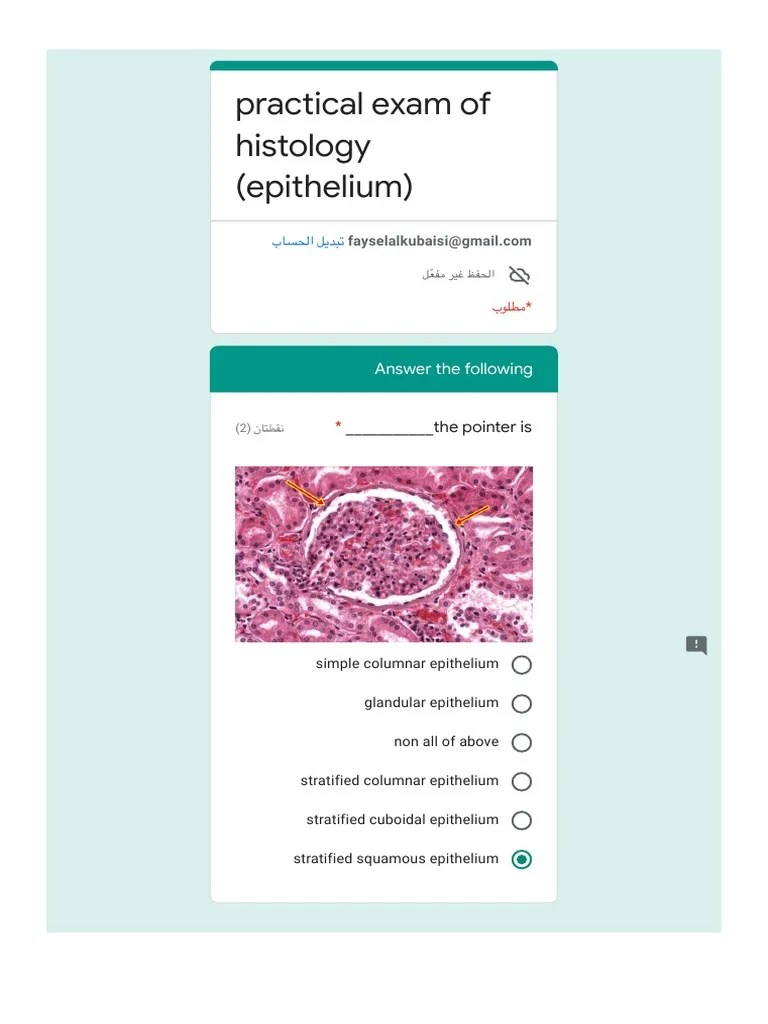 Practical Exam Of Histology (Epithelium) | PDF | Epithelium | Animal ...