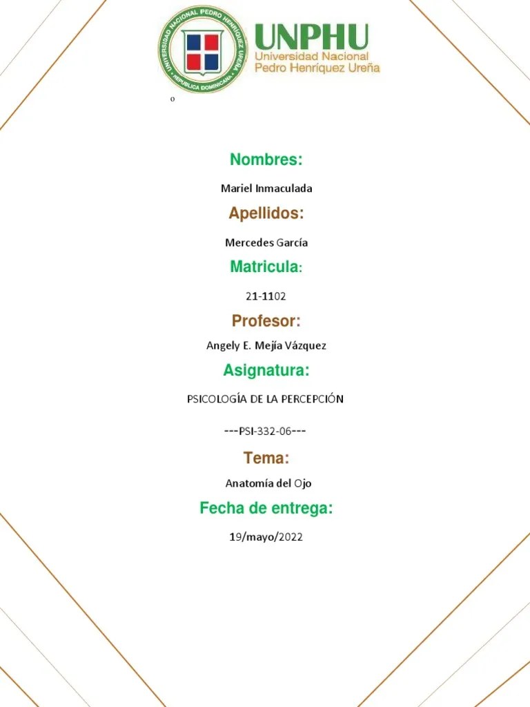 Anatom A Del Ojo Jes S Daniel Carbajal Ramos Udocz - Amazing High Resolution Minimal Pictures | Free Download